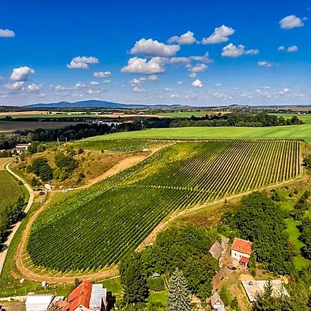 Winnica & Hotel