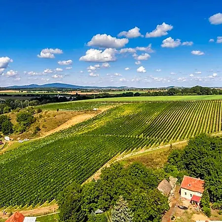 Winnica & Hotel 3*