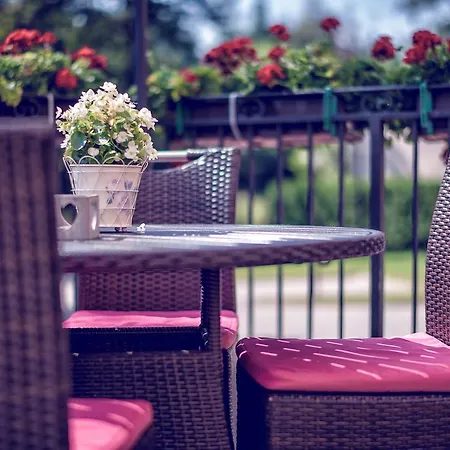 Wino & Hotel Niemcza