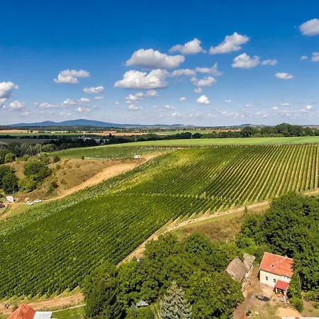 Winnica & Hotel 3*