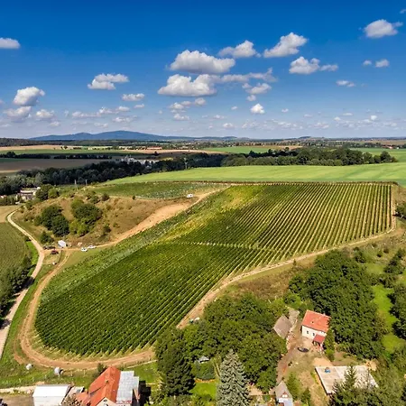 Hotel Winnica &