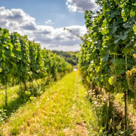 Wino & Hotel Niemcza