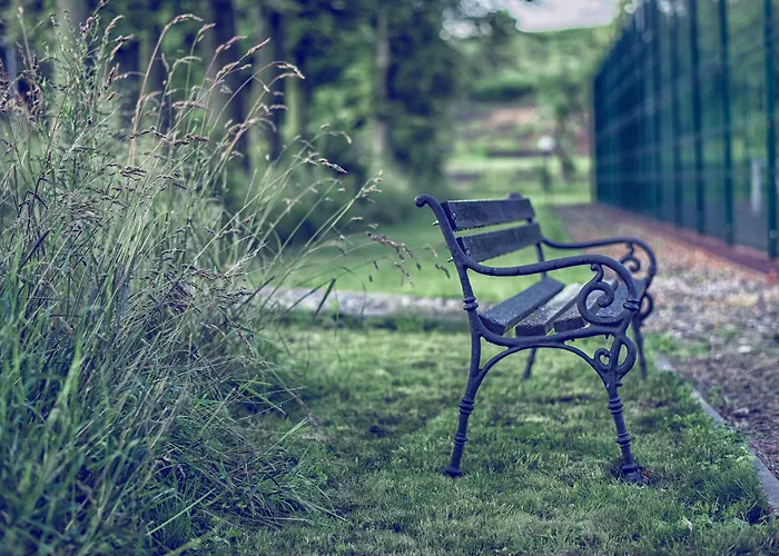 Wino & 3* Немча