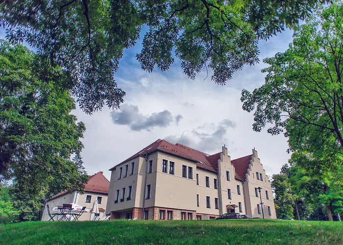 Wino & ニエムツァ