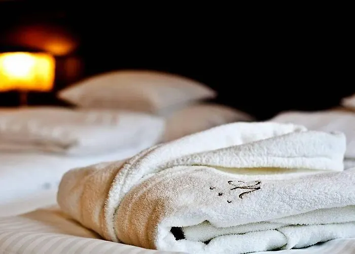 Wino & 3* Немча