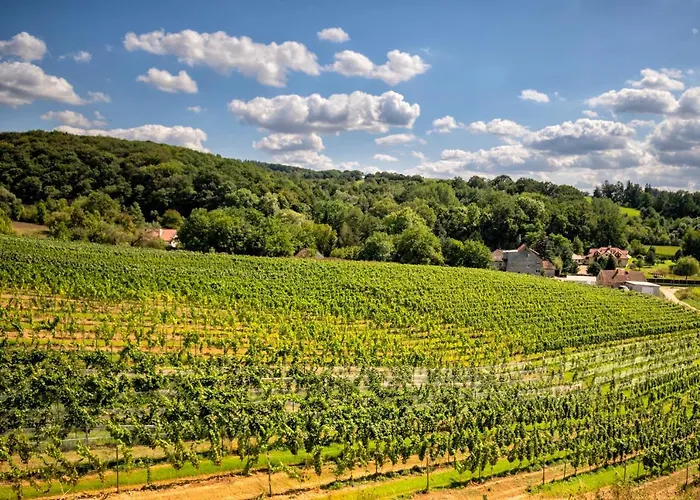 Ξενοδοχείο Hotel Niemcza Wino & Spa