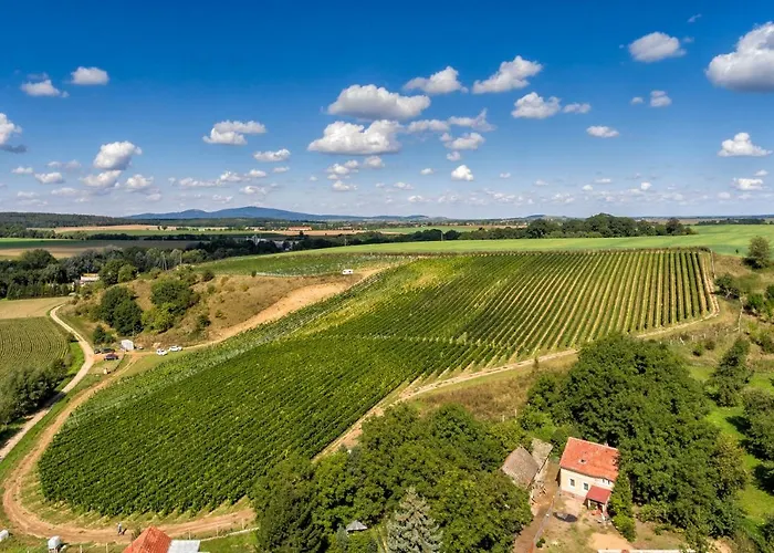 Hotel Niemcza Wino & Spa Ξενοδοχείο 3*