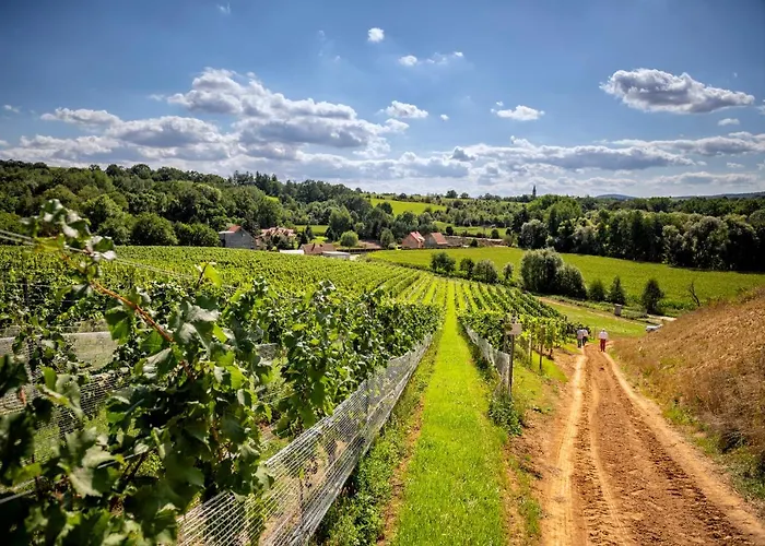 Ξενοδοχείο Hotel Niemcza Wino & Spa Niemcza